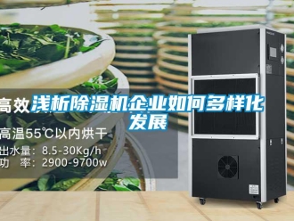 常見問題淺析除濕機企業如何多樣化發展