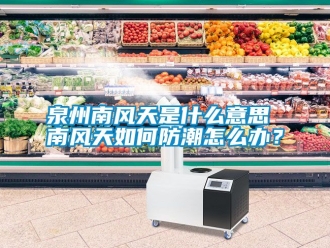 常見問題泉州南風天是什么意思 南風天如何防潮怎么辦？