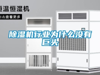 企業新聞除濕機行業為什么沒有巨頭
