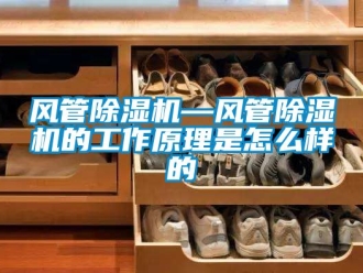 行業新聞風管除濕機—風管除濕機的工作原理是怎么樣的