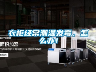 常見問題衣柜經常潮濕發霉，怎么辦！