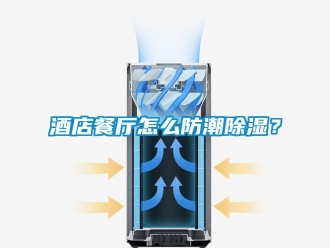 常見問題酒店餐廳怎么防潮除濕？