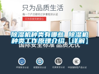 行業新聞除濕機種類有哪些 除濕機種類工作原理介紹【詳解】