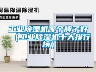 常見問題工業除濕機哪個牌子好（工業除濕機十大排行榜）