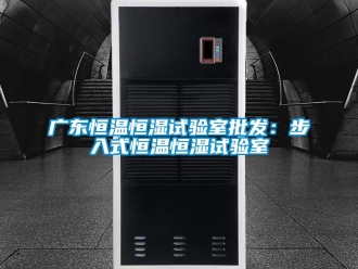知識百科廣東恒溫恒濕試驗室批發：步入式恒溫恒濕試驗室