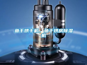 行業(yè)新聞魚干烘干機(jī)，魚干烘房除濕機(jī)