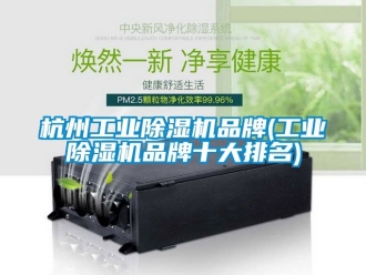常見問題杭州工業(yè)除濕機品牌(工業(yè)除濕機品牌十大排名)