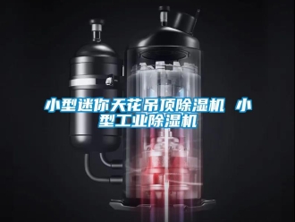 常見問題小型迷你天花吊頂除濕機 小型工業除濕機