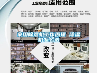 常見問題家用除濕機工作原理 除濕機怎么選