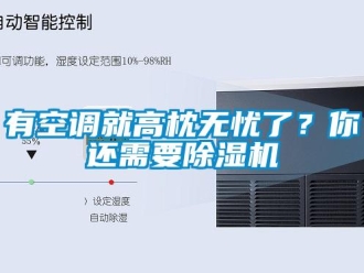 知識百科有空調就高枕無憂了？你還需要除濕機