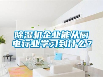 常見問題除濕機企業能從廚電行業學習到什么？