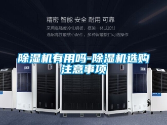 行業(yè)新聞除濕機(jī)有用嗎-除濕機(jī)選購注意事項