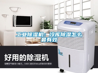 常見問題工業除濕機：冷庫除濕怎么最有效