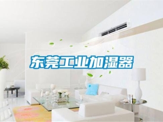 企業(yè)新聞東莞工業(yè)加濕器