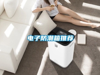 常見問題電子防潮箱推薦
