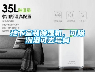 企業新聞地下室裝除濕機，可除潮濕可去霉臭