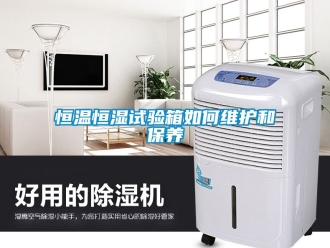 知識百科恒溫恒濕試驗箱如何維護和保養