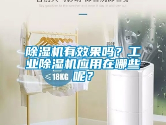 常見問題除濕機有效果嗎？工業除濕機應用在哪些呢？