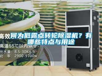 行業(yè)新聞何為低露點(diǎn)轉(zhuǎn)輪除濕機(jī)？有哪些特點(diǎn)與用途