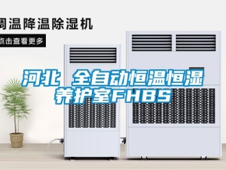 知識百科河北 全自動恒溫恒濕養(yǎng)護(hù)室FHBS