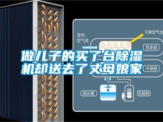 行業新聞做兒子的買了臺除濕機卻送去了丈母娘家