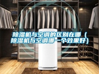 行業(yè)新聞除濕機(jī)與空調(diào)的區(qū)別在哪（除濕機(jī)與空調(diào)哪一個(gè)效果好）