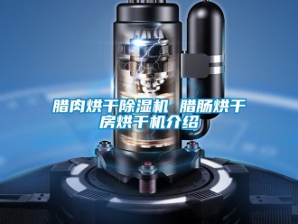 行業新聞臘肉烘干除濕機 臘腸烘干房烘干機介紹