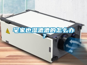 常見問題宅家也濕漉漉的怎么辦？