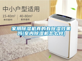 常見(jiàn)問(wèn)題家用除濕機(jī)真的有除濕效果嗎(室內(nèi)除濕機(jī)怎么樣)