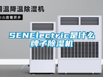 企業新聞SENElectric是什么牌子除濕機