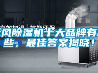 常見問題新風(fēng)除濕機(jī)十大品牌有哪些，最佳答案揭曉！