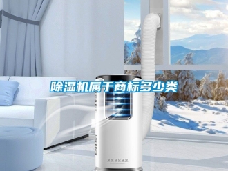 行業(yè)新聞除濕機屬于商標多少類