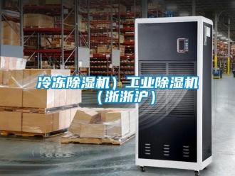 常見問題冷凍除濕機(jī)）工業(yè)除濕機(jī)（浙浙滬）