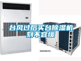 知識(shí)百科臺(tái)風(fēng)過后買臺(tái)除濕機(jī)刻不容緩