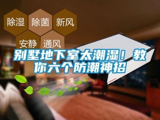 企業新聞別墅地下室太潮濕！教你六個防潮神招