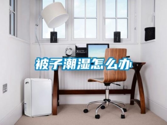 常見問題被子潮濕怎么辦