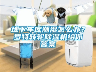 常見問題地下車庫潮濕怎么辦？羅特轉輪除濕機給你答案