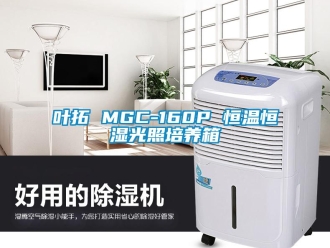 知識百科葉拓 MGC-160P 恒溫恒濕光照培養(yǎng)箱