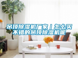企業新聞吊頂除濕機廠家｜怎么買不錯的吊頂除濕機呢