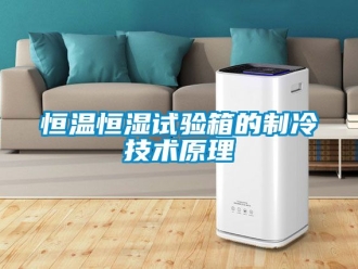 知識百科恒溫恒濕試驗箱的制冷技術(shù)原理