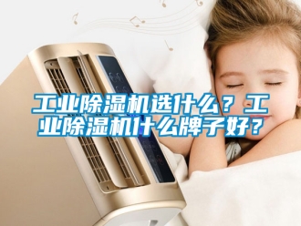 常見問題工業除濕機選什么？工業除濕機什么牌子好？