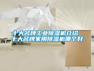 常見問題十大名牌工業除濕機介紹 十大名牌家用除濕機哪個好