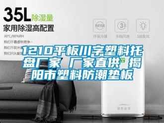 企業(yè)新聞1210平板川字塑料托盤廠家 廠家直供 揭陽市塑料防潮墊板
