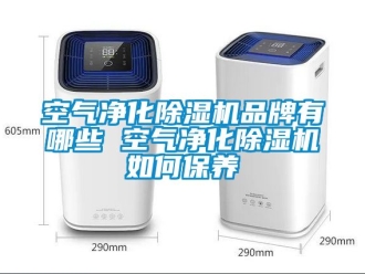 企業新聞空氣凈化除濕機品牌有哪些 空氣凈化除濕機如何保養