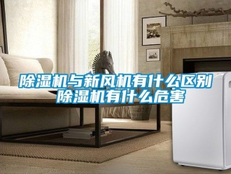 常見問題除濕機與新風機有什么區別 除濕機有什么危害