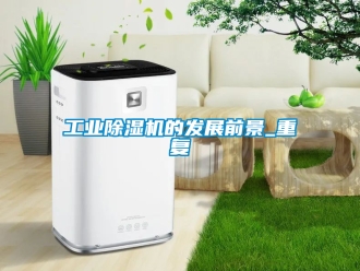 常見問題工業(yè)除濕機(jī)的發(fā)展前景_重復(fù)