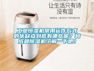 常見問題工業(yè)恒濕機常用運作方式的優(yōu)缺點到底有哪些呢？和成都除濕機了解一下吧！