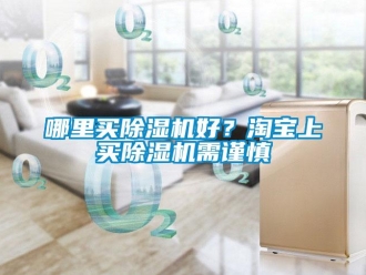 行業(yè)新聞哪里買除濕機好？淘寶上買除濕機需謹慎