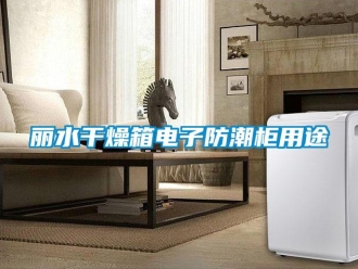 常見問題麗水干燥箱電子防潮柜用途