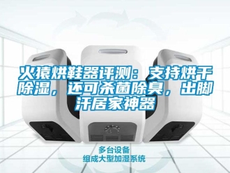 行業新聞火猿烘鞋器評測：支持烘干除濕，還可殺菌除臭，出腳汗居家神器